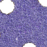 Абразивная полоска 3M™ Hookit™ Purple+ Cubitron™ II P80+, 70 x 396 мм | 51411 серии 737U